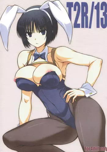 (C93) [BRIEST (Yatsushima Tetsuya)] T2R/13 (Various)