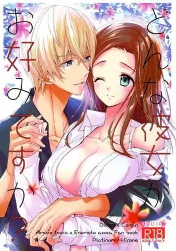 Donna Kanojo ga o Konomidesu ka?