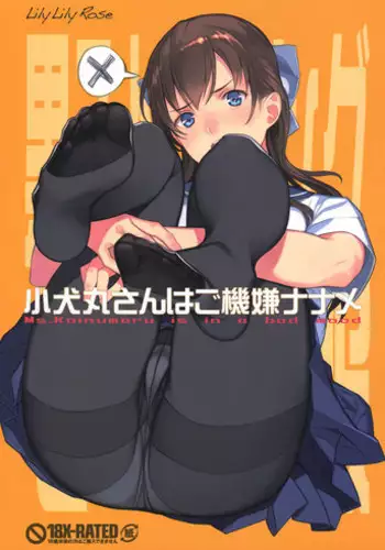 (C90) [LilyLilyRose (Mibu Natsuki)] Koinumaru-san wa Gokigen Naname