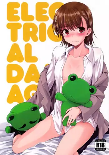 (C91) [Aspergillus (Okara)] ELECTRICAL DAMAGE (Toaru Kagaku no Railgun)