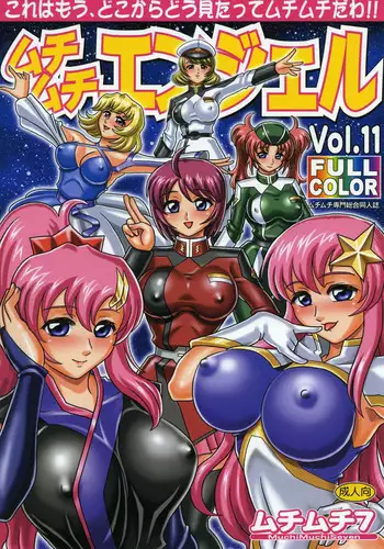 (SC31) [MuchiMuchi7 (Hikami Dan, Terada Tsugeo)] MuchiMuchi Angel Vol. 11 (Gundam Seed Destiny)