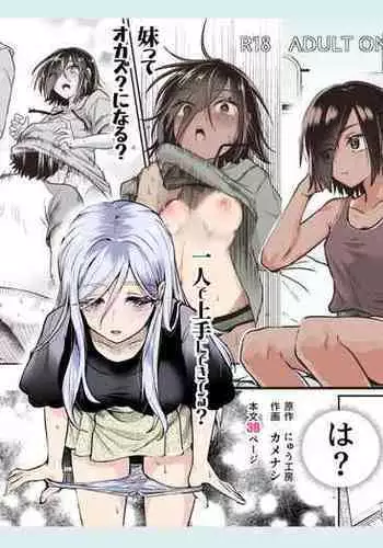 Totsuzen Gishi to Gimai gadekite shimattaken EX