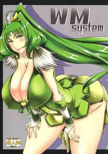 WM System