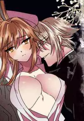 Henshin Heroine to Mascotto