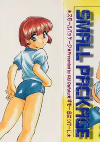 [Daifuku Keiji] SMALL PACKAGE