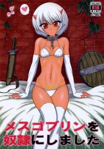 (COMIC1☆11) [BLACK DOG (Kuroinu Juu)] Mesu Goblin o Dorei ni Shimashita