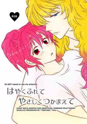 [Teriyaki] Hayaku Furete Yasashiku Tsukamaete (Saint Seiya)
