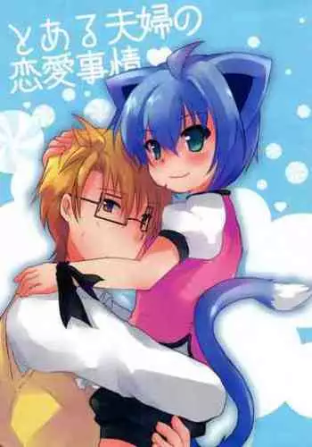 Toaru Fuufu no Renai Jijou