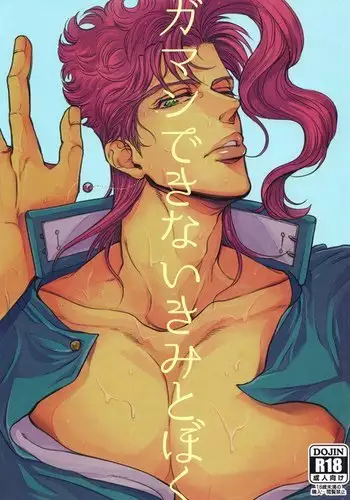 Gaman Dekinai Kimi to Boku