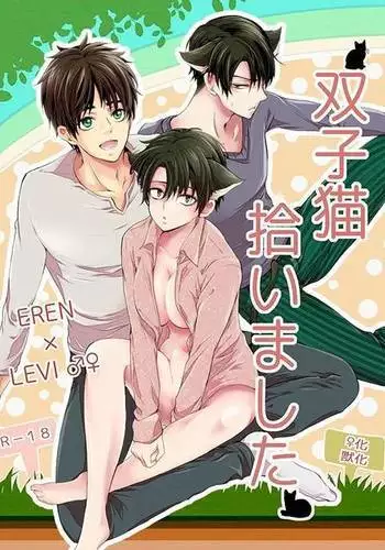 Futago neko hiroimashita