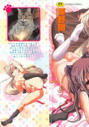 [Sawano Akira] Imoutotachi no H na Himitsu [Chinese]