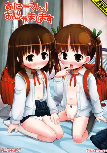 (COMIC1☆6) [Triple Pinch! (Hikami Izuto)] Onii-san! Ojamashimasu