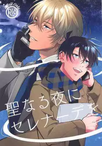 Seinaru Yoru ni Serenade o