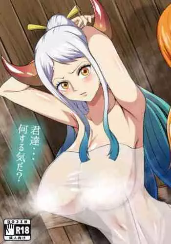 [Q Doujin] Bakunyuu Kaizoku no Yukemuri Ecchi (One Piece) [Chinese]