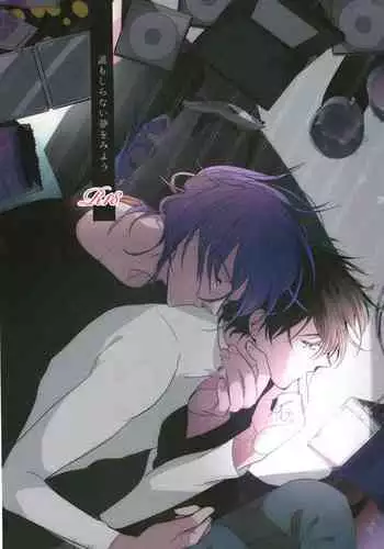 Daremo shiranai yume o miyou